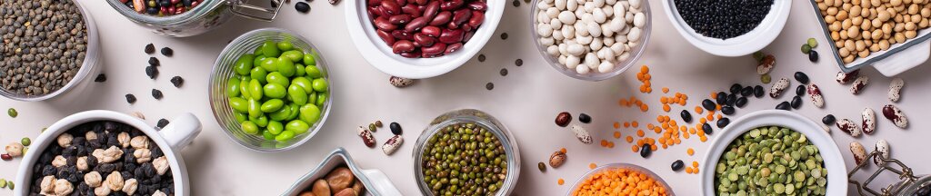 ALPMA Prozesstechnik: many years of experience in the production and processing of plant-based proteins via fermentation.
