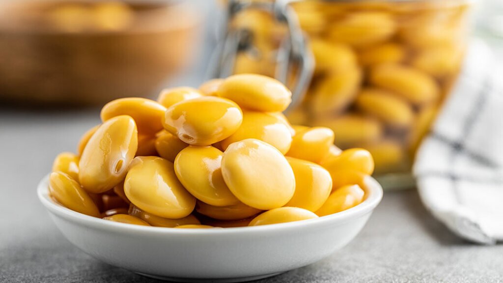 Illustration of plant-based protein production: Microorganisms ferment press cake from oil crops (e.g., soy, rapeseed, lupin, sunflower) into alternative proteins.